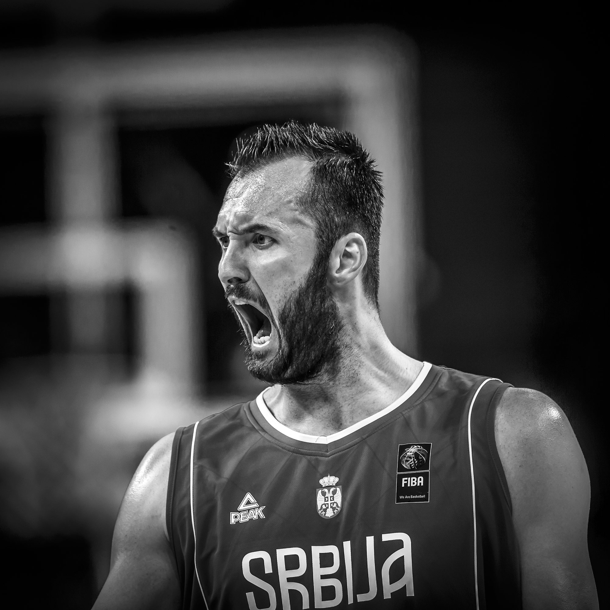 Euro Basket 2017